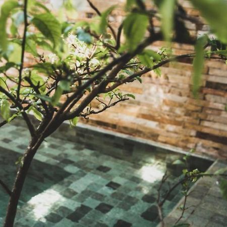 Tropical House - Villa Com Piscina Perto Do Mar จีโจกา จี เจรีกวากวารา ภายนอก รูปภาพ
