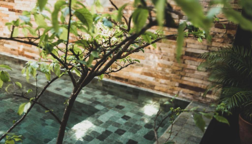 Tropical House - Villa Com Piscina Perto Do Mar จีโจกา จี เจรีกวากวารา ภายนอก รูปภาพ